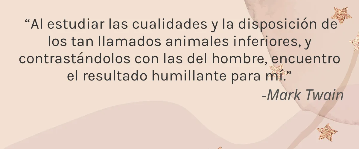 DefineMe Fragrance 4 Cruelty Free DefineMe Fragrance cita-Mark Twain