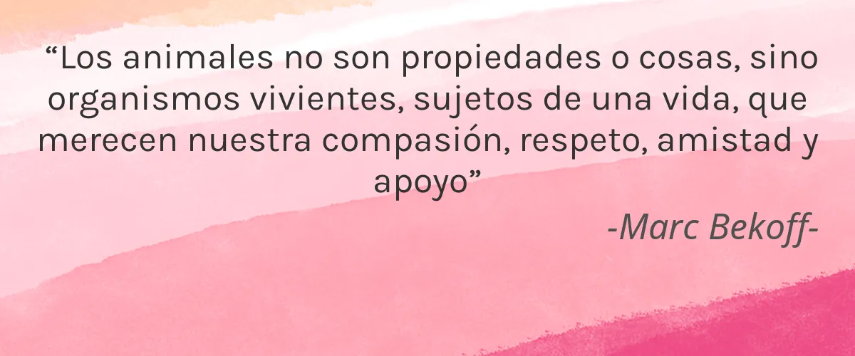 Dental Delight 4 Cruelty Free Dental Delight cita-Marc Bekoff-