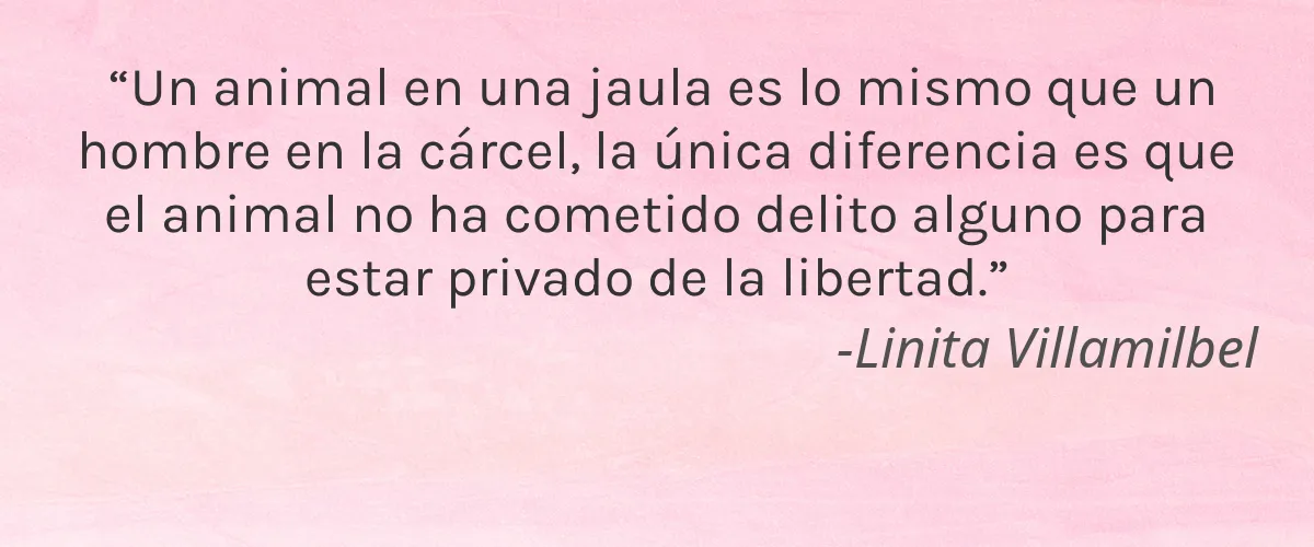 dermaglos 4 Cruelty Free dermaglos cita-Linita Villamilbel