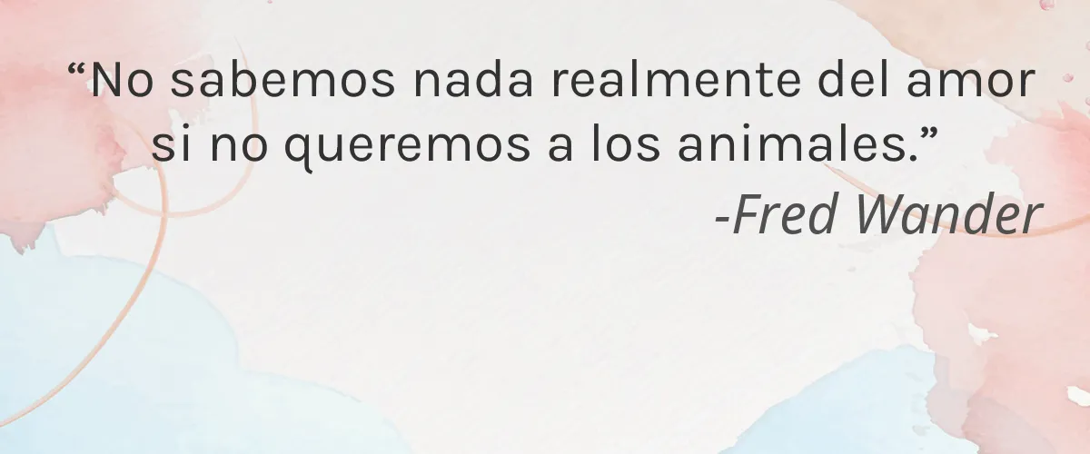 Dezi Skin 4 Cruelty Free Dezi Skin cita-Fred Wander