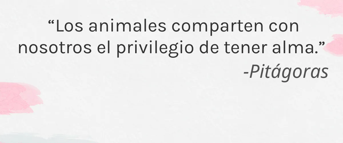 Dieteticos Intersa SA 4 Cruelty Free Dieteticos Intersa SA cita-Pitágoras