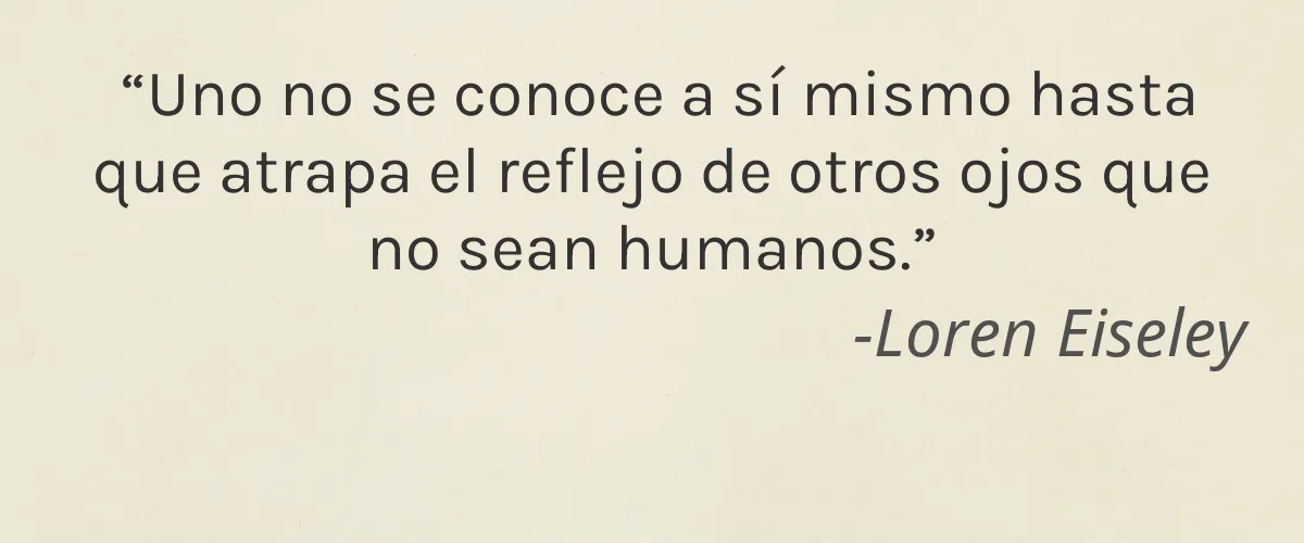 Dirty Hippie Cosmetics 4 Cruelty Free Dirty Hippie Cosmetics cita-Loren Eiseley