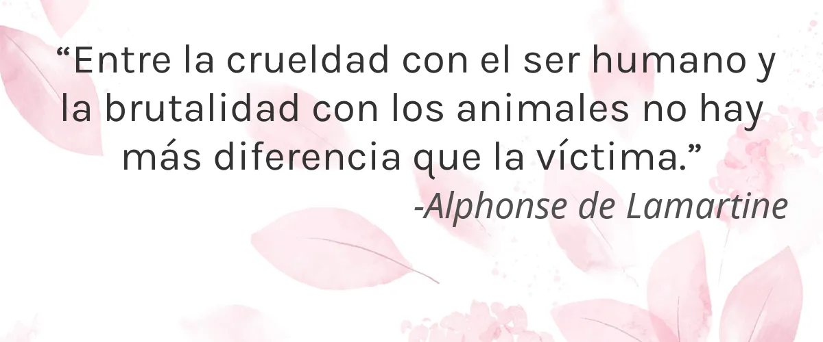 Dirty Lamb 4 Cruelty Free Dirty Lamb cita-Alphonse de Lamartine