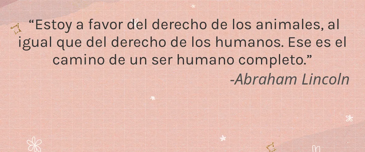 Divas on Fleek 4 Cruelty Free Divas on Fleek cita-Abraham Lincoln