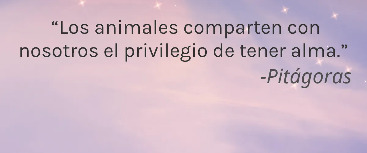 Drano (S.C. Johnson) 8 Cruelty Free Drano (S.C. Johnson) cita-Pitágoras