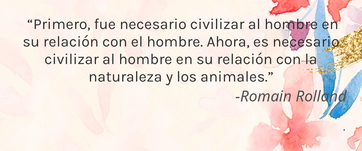 Dropps 4 Cruelty Free Dropps cita-Romain Rolland