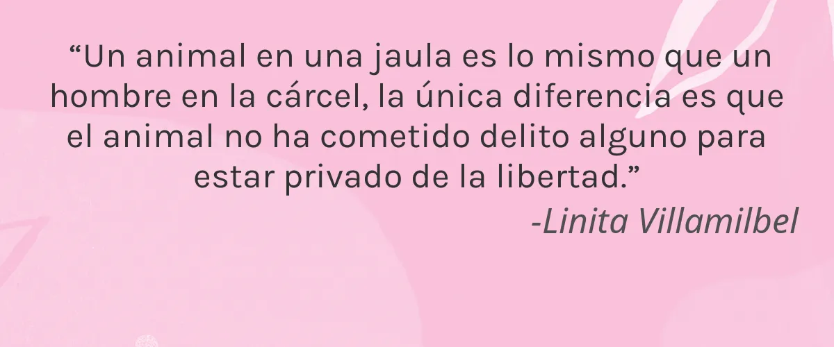 Cruelty Free duross & langel cita-Linita Villamilbel