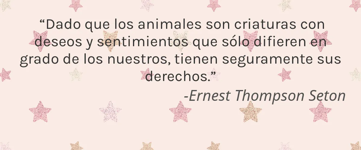 DÜZÉ 4 Cruelty Free DUZE cita-Ernest Thompson Seton
