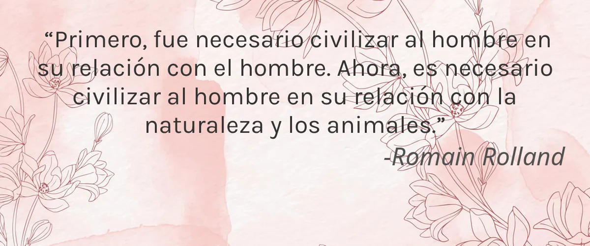 EARTH CONSCIOUS 4 Cruelty Free EARTH CONSCIOUS cita-Romain Rolland