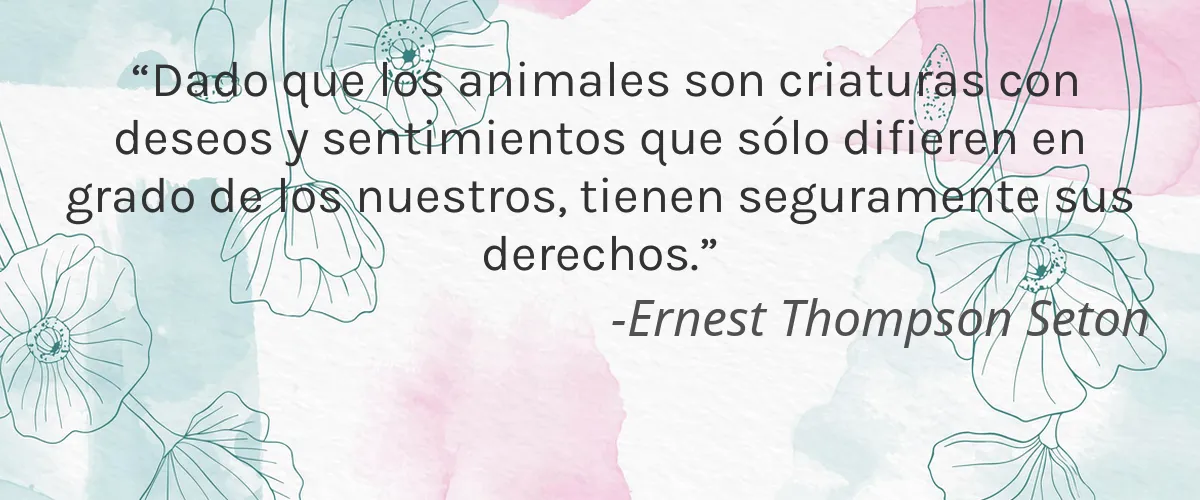 EARTH MOTHER SOUL SISTER 5 Cruelty Free EARTH MOTHER SOUL SISTER cita-Ernest Thompson Seton