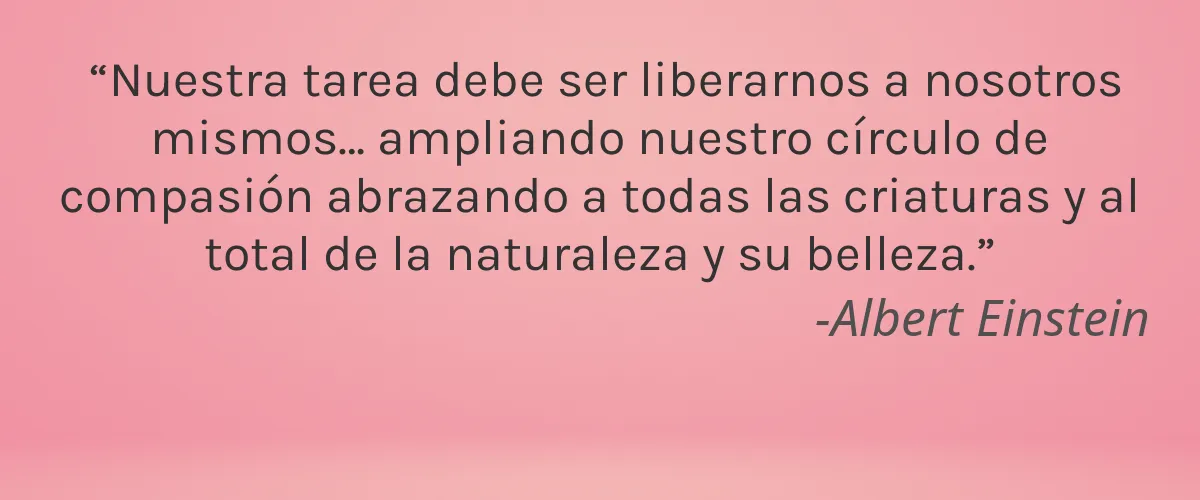 EARTH SENSE 4 Cruelty Free EARTH SENSE cita-Albert Einstein