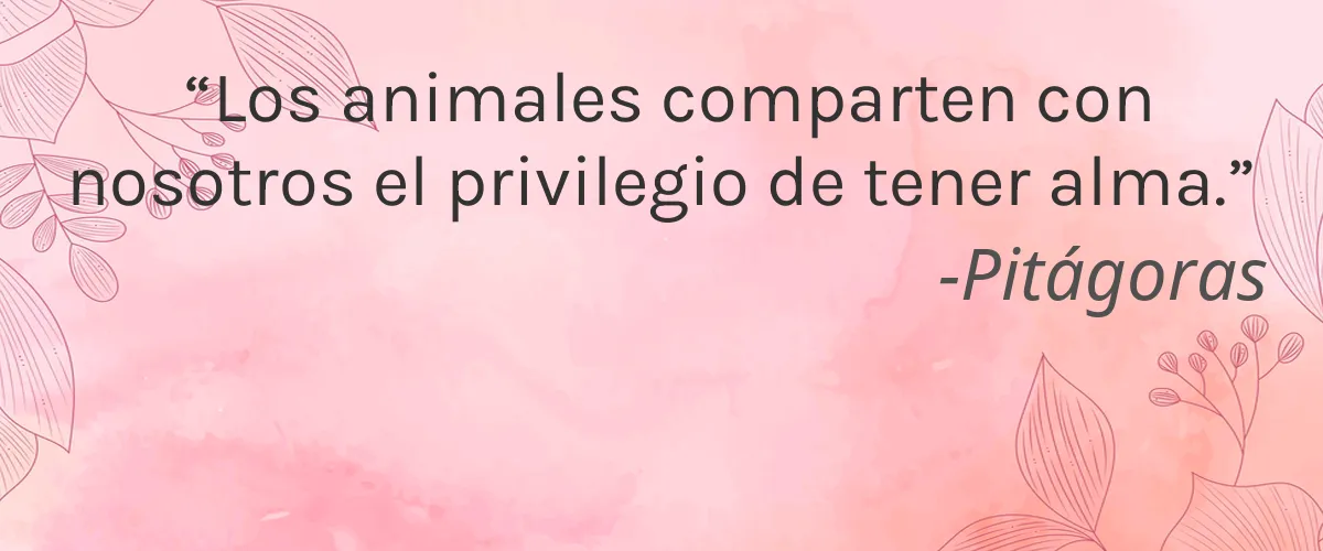 Earth Spirit Natural Home 4 Cruelty Free Earth Spirit Natural Home cita-Pitágoras