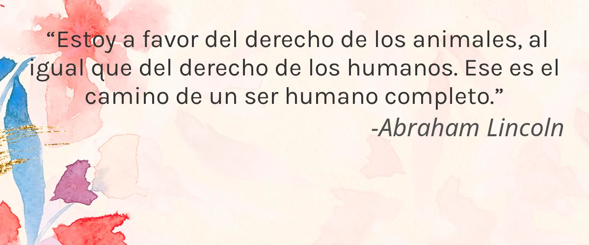 Earthbaby 4 Cruelty Free Earthbaby cita-Abraham Lincoln