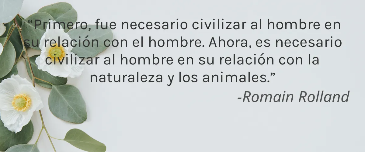 EARTHLY BODY 4 Cruelty Free EARTHLY BODY cita-Romain Rolland