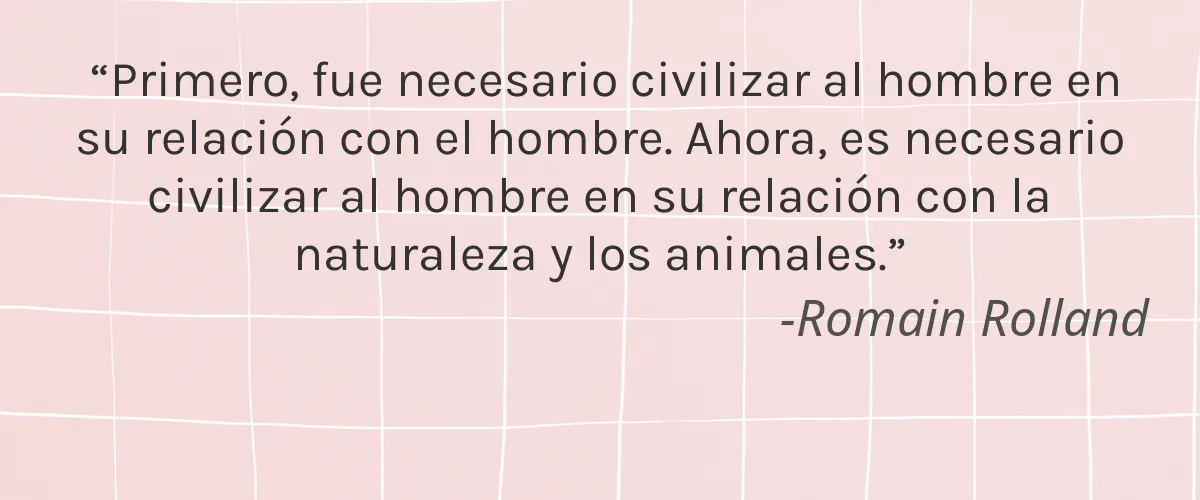 Cruelty Free Eco-Dent International cita-Romain Rolland