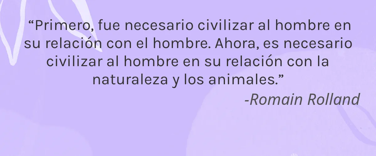 Eco Touch 4 Cruelty Free Eco Touch cita-Romain Rolland