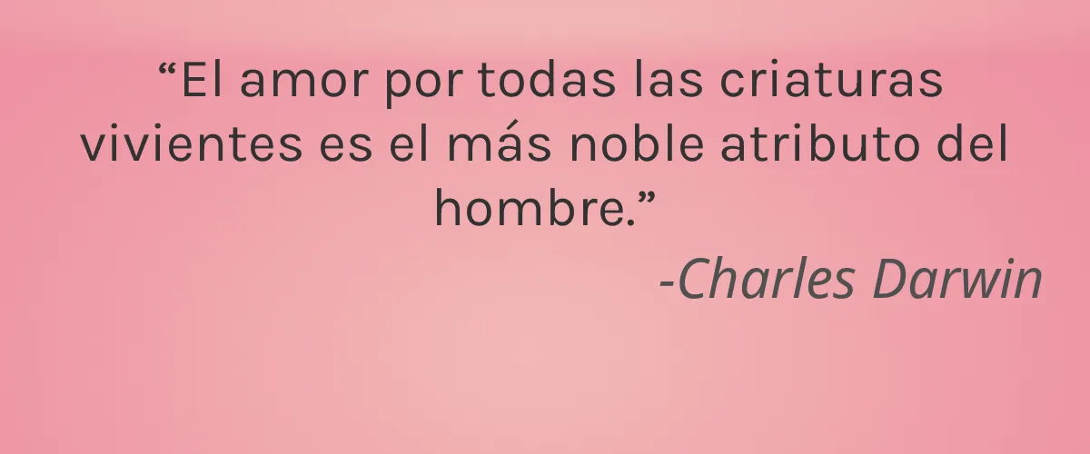 ecoStore USA 4 Cruelty Free ecoStore USA cita-Charles Darwin