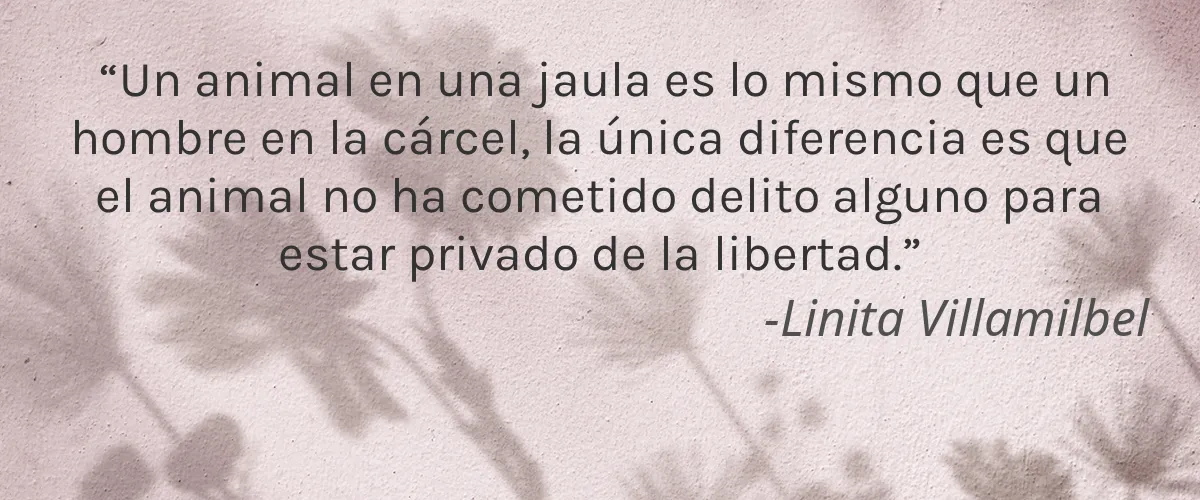 EczemX 4 Cruelty Free EczemX cita-Linita Villamilbel