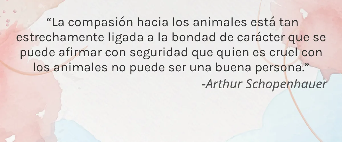 EDEN BodyWorks 4 Cruelty Free EDEN BodyWorks cita-Arthur Schopenhauer