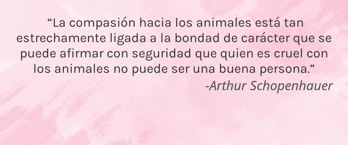 EF Skincare 4 Cruelty Free EF Skincare cita-Arthur Schopenhauer
