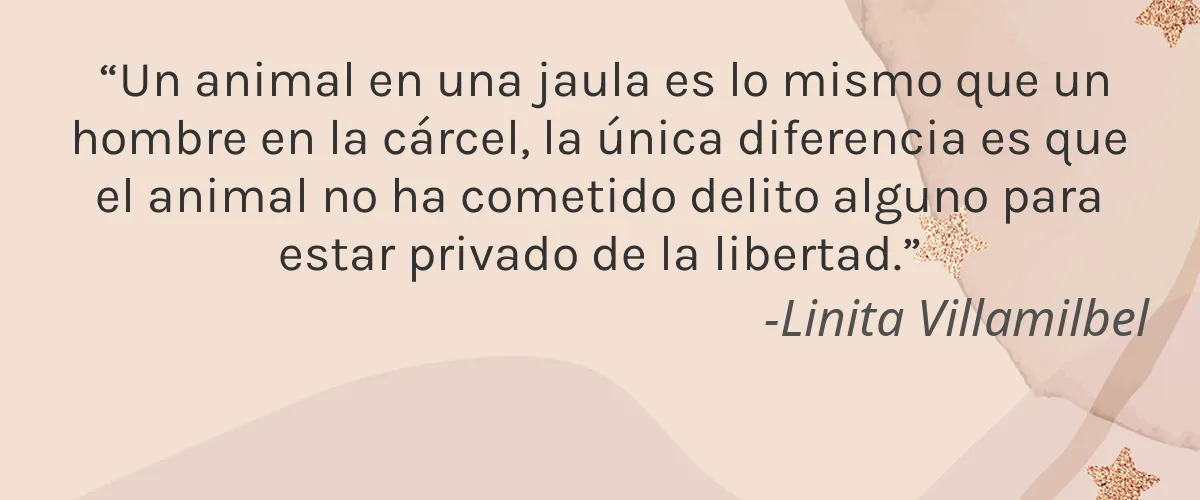 Ekokimya 4 Cruelty Free Ekokimya cita-Linita Villamilbel