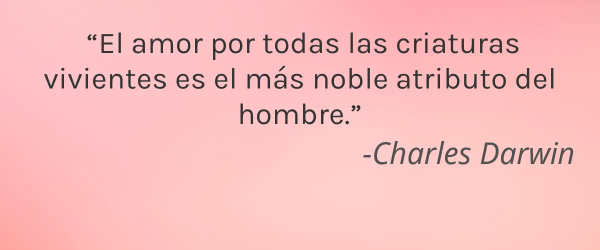 Element Apothec 4 Cruelty Free Element Apothec cita-Charles Darwin