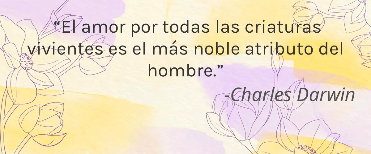 ELEPHAS 4 Cruelty Free ELEPHAS cita-Charles Darwin