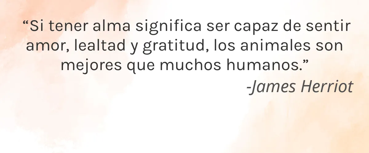 Elizabeth Jane Natural Cosmetics 4 Cruelty Free Elizabeth Jane Natural Cosmetics cita-James Herriot