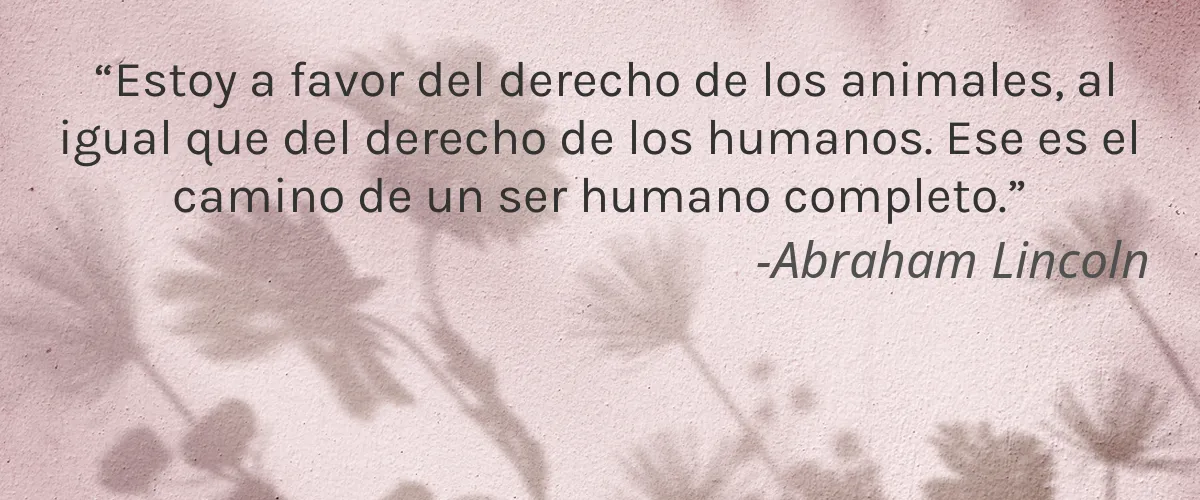Ellovi 4 Cruelty Free Ellovi cita-Abraham Lincoln