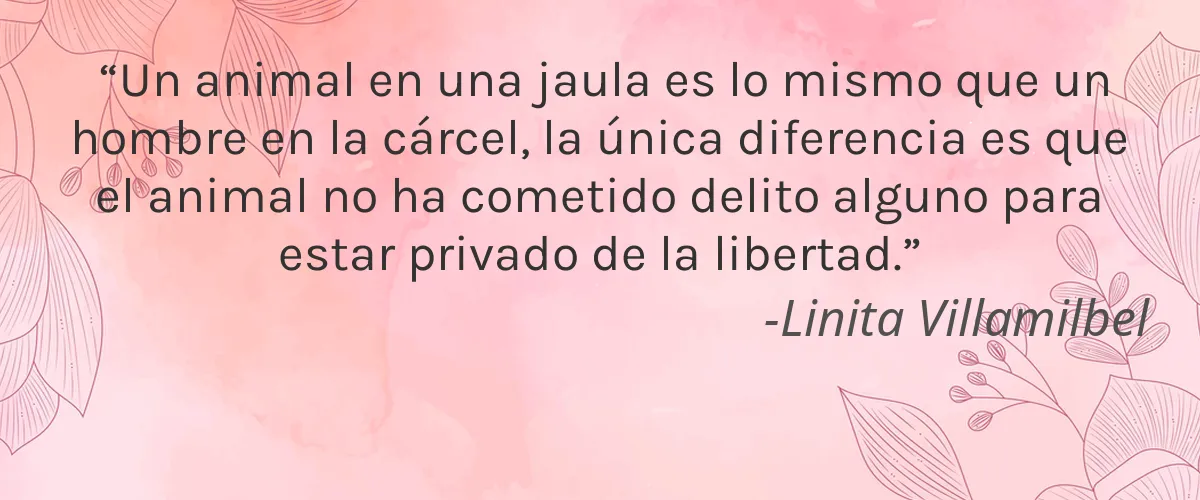 ELON Essentials 4 Cruelty Free ELON Essentials cita-Linita Villamilbel