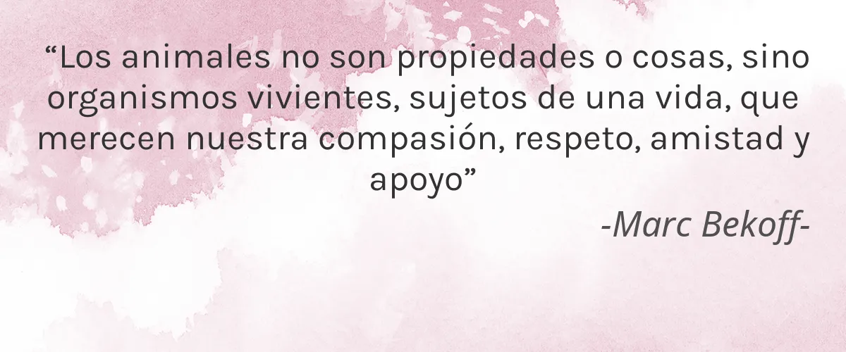 Emporio Naranja 4 Cruelty Free Emporio Naranja cita-Marc Bekoff-