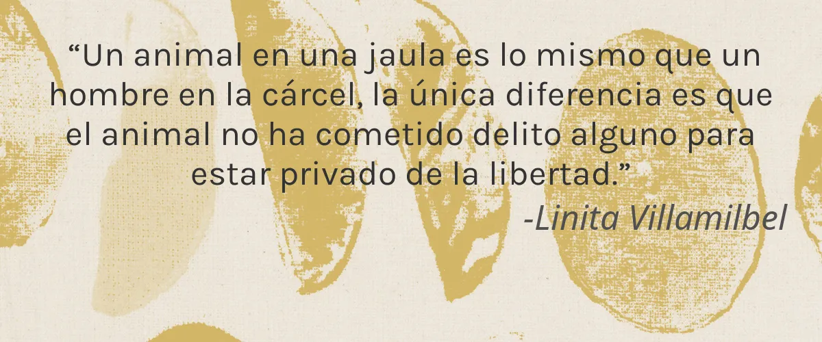Cruelty Free Enya cita-Linita Villamilbel