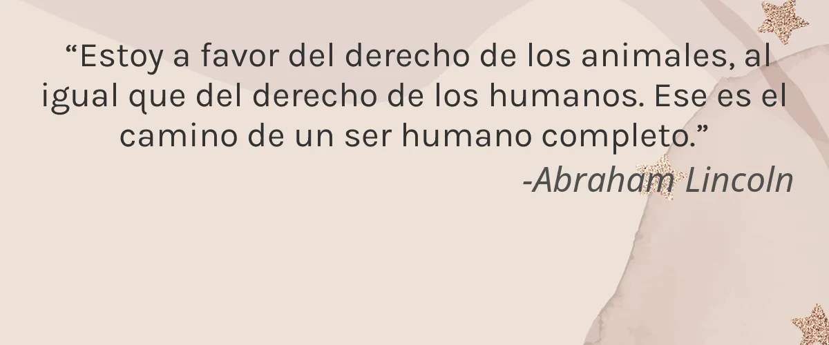 Erganik 4 Cruelty Free Erganik cita-Abraham Lincoln
