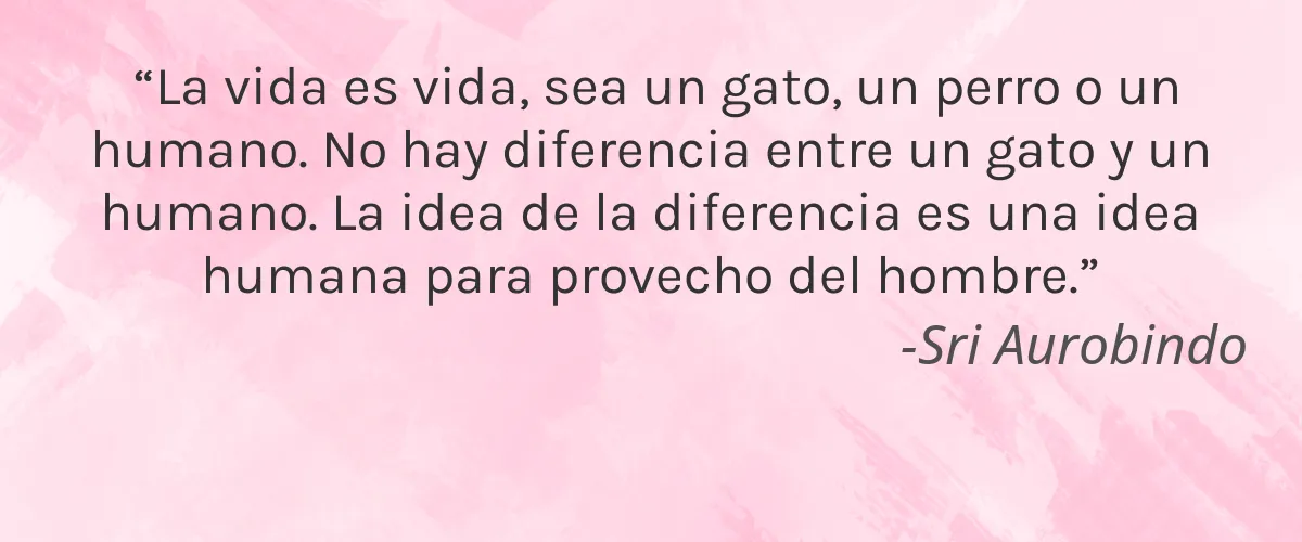 Esas NYC 4 Cruelty Free Esas NYC cita-Sri Aurobindo