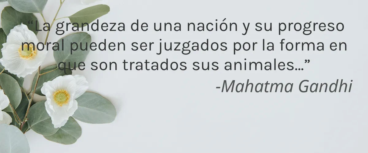 Espigas 4 Cruelty Free Espigas cita-Mahatma Gandhi