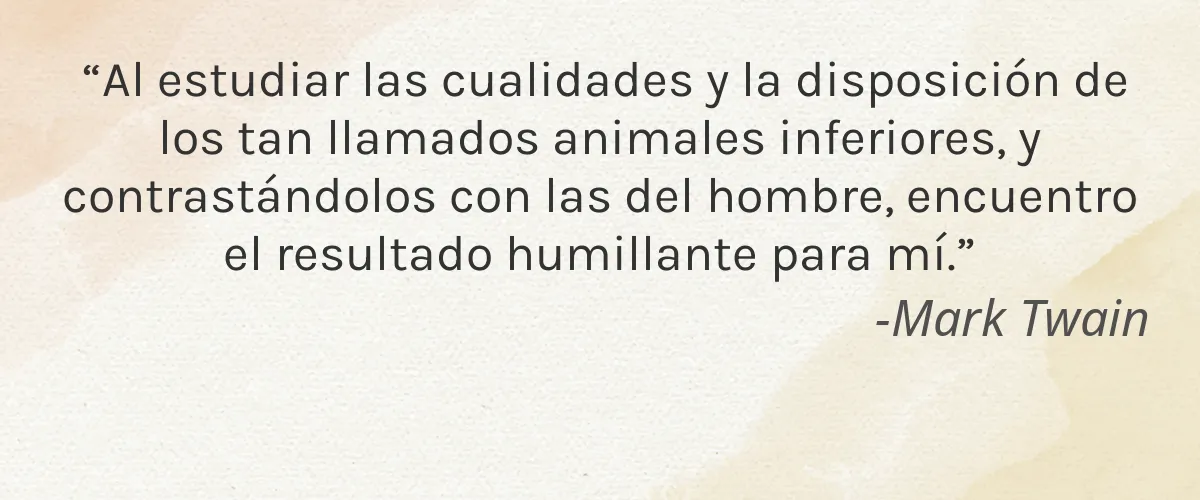 Espinache 4 Cruelty Free Espinache cita-Mark Twain