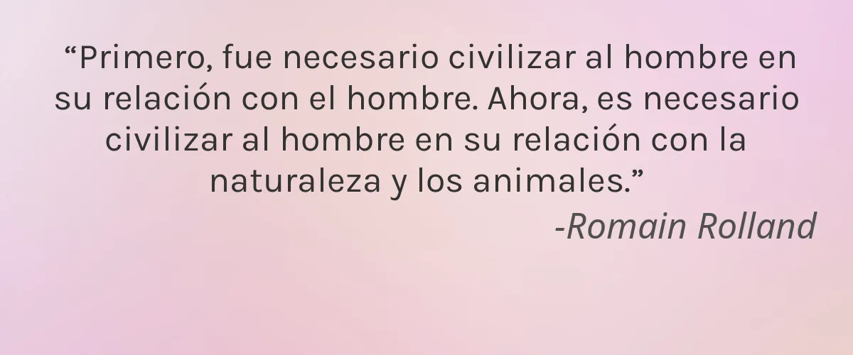 Essence of Wellbeing 4 Cruelty Free Essence of Wellbeing cita-Romain Rolland