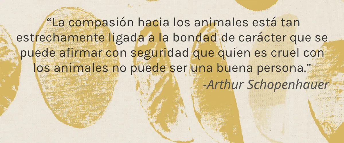 Ethiko 4 Cruelty Free Ethiko cita-Arthur Schopenhauer