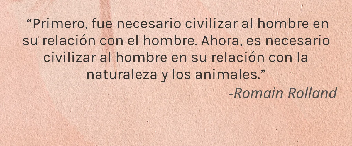 Cruelty Free EUREKACOS cita-Romain Rolland