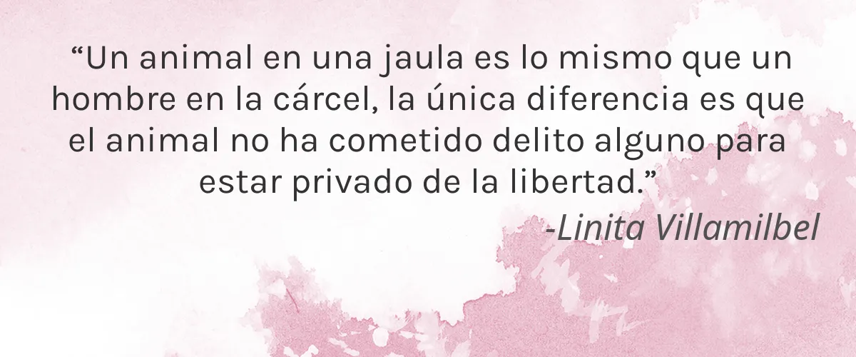 Everblue 4 Cruelty Free Everblue cita-Linita Villamilbel