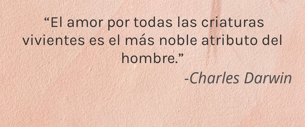 Everyone 4 Cruelty Free Everyone cita-Charles Darwin