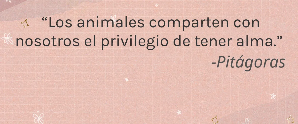 evo labs 4 Cruelty Free evo labs cita-Pitágoras