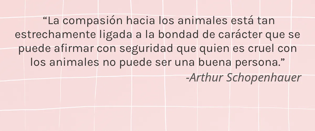 Cruelty Free Fabula Nebulae cita-Arthur Schopenhauer
