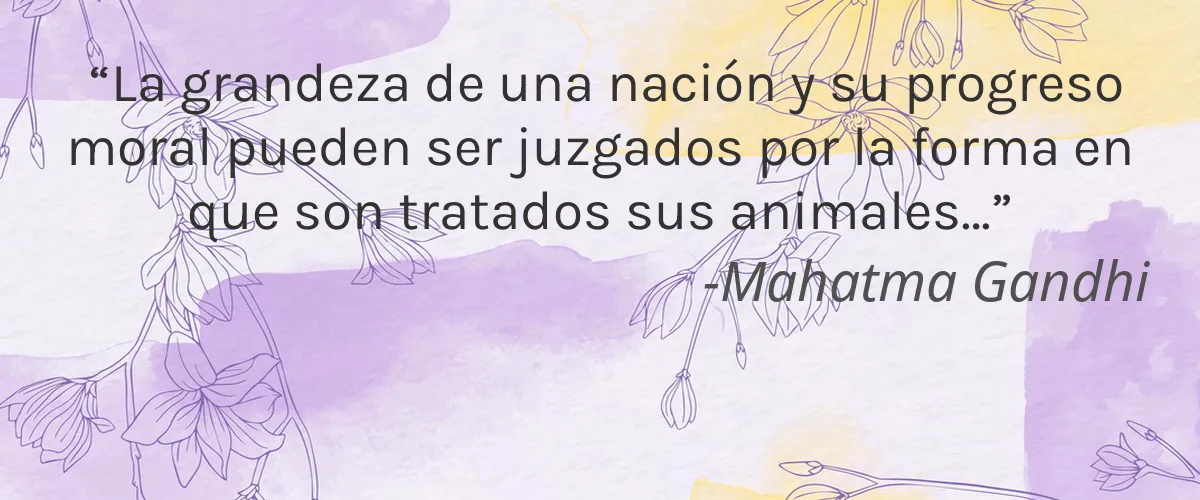 FACEITTEA 4 Cruelty Free FACEITTEA cita-Mahatma Gandhi