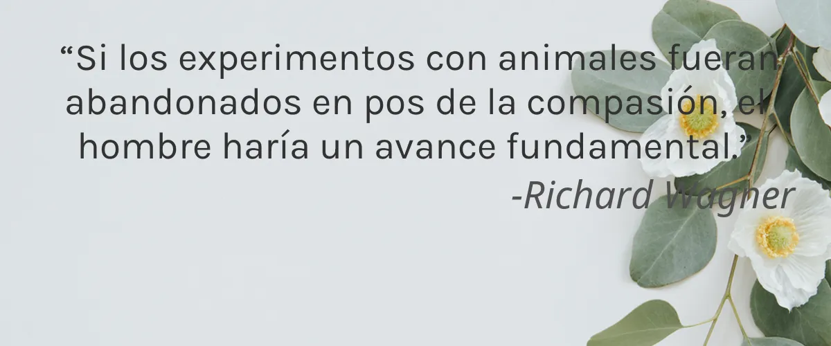 FACETHEORY 4 Cruelty Free FACETHEORY cita-Richard Wagner