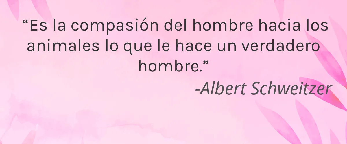 Farmacy (P&G) 8 Cruelty Free Farmacy (P&G) cita-Albert Schweitzer