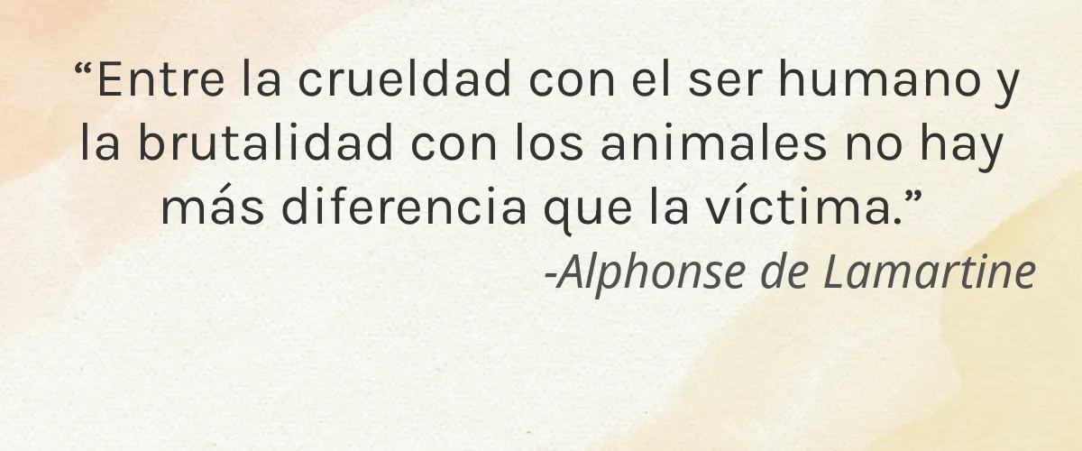FARRYN AMBER 5 Cruelty Free FARRYN AMBER cita-Alphonse de Lamartine