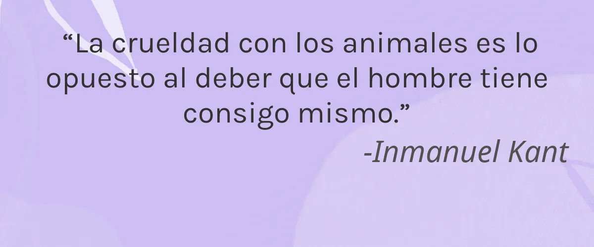 Fattore 4 Cruelty Free Fattore cita-Inmanuel Kant