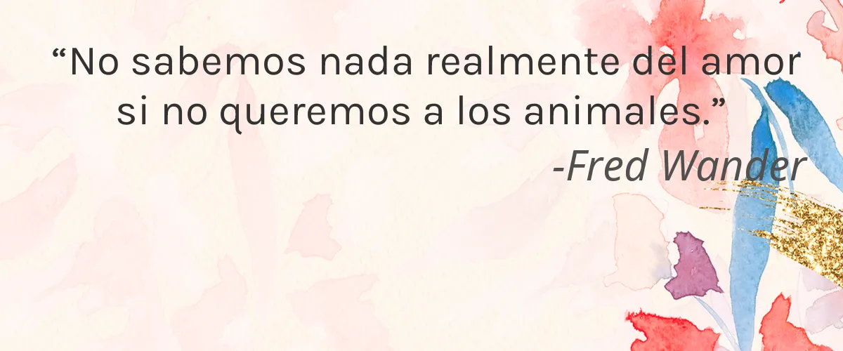 Feel 4 Cruelty Free Feel cita-Fred Wander