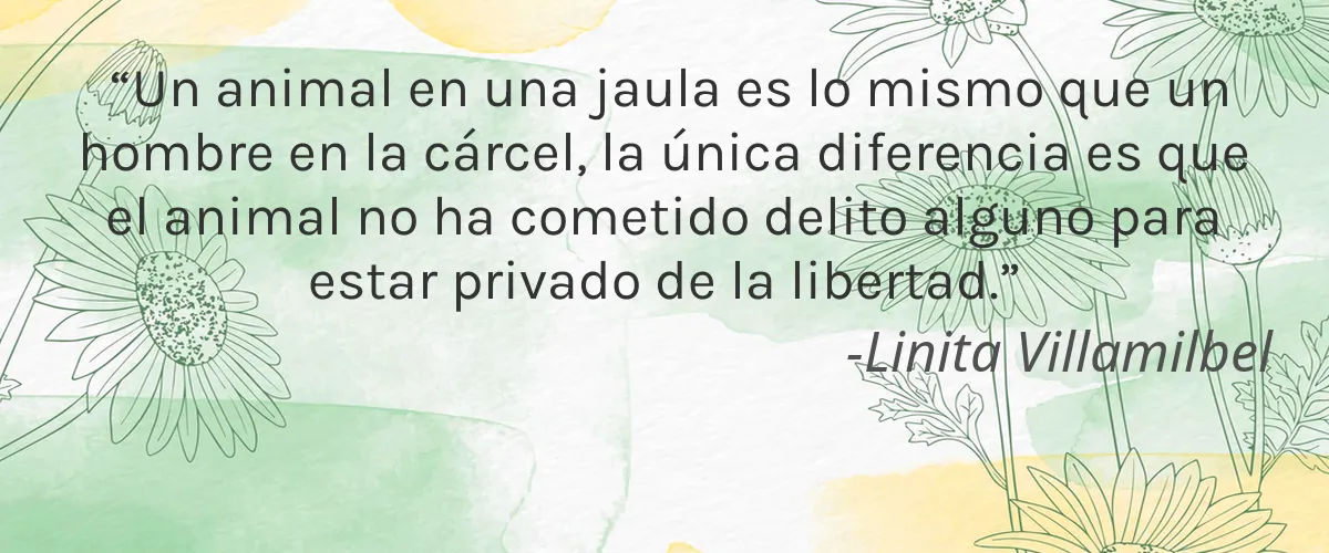 Feito Brasil Cosmeticos 4 Cruelty Free Feito Brasil Cosmeticos cita-Linita Villamilbel